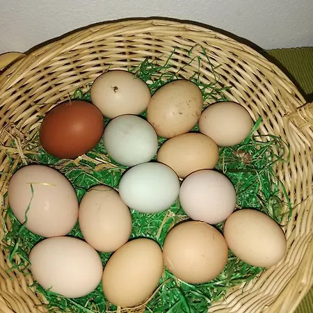 Ferienwohnung Hoyer Apartmán *